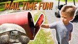 Fun Kids Mailbox Check and Looking for Turtles! Mail Time Fun!