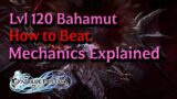 GBF Relink – Bahamut Versa Mechanics And DPS Check Guide – Proud Unlock Quest