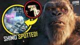 GODZILLA X KONG Trailer Breakdown | Easter Eggs, Plot Detail, Shimo & Things You Missed