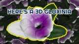 Gloxinia | The FINAL Installment of Flower February