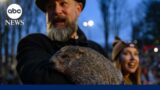 Groundhog Day 2024 live: Punxsutawney Phil predicts an early spring
