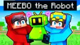 HOW I MET MEEBO The Robot In Minecraft!
