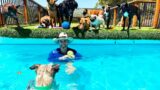 Happy Dogs Exercising Playing Running Swimming and Living Life to the Fullest