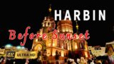 Harbin Before Sunset | Saint Sophia Cathedral | Central Street at Night | Music City (Large Snowman)