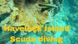Havelock Island Dive Club Andaman One more#viral #youtube #scubadiving
