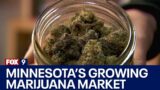 Homegrown marijuana: Inside Minnesota's growing market