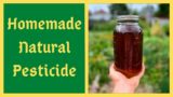 Homemade Natural Pesticide – JADAM Herbal Solution – JHS