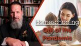 Homeschooling – Gift of the Pandemic