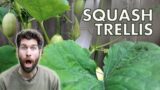 How to Build a Squash Trellis