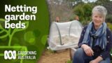 How to use netting to protect your beds from pests | DIY Garden Projects | Gardening Australia