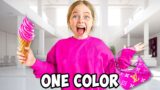 I Bought Everything In ONE COLOR for my Sister!