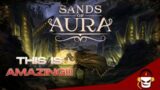 I Played Sands Of Aura, A Diablo/Souls-Like Experience