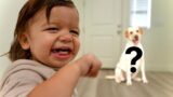 I Surprised My SON With a DOG!!!