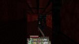 INSANE LUCK Moment Wither Skeleton #shorts #wither #skeleton #minecraft