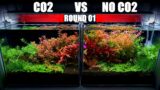 Is It Worth To Add CO2 To Your Planted Tank? | 1st Round of CO2 Vs No CO2 Planted Aquarium