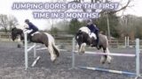 JUMPING BORIS FOR THE FIRST TIME IN 3 MONTHS | Bareback jumping