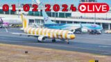 LIVE From Madeira Island Airport 01.02.2024