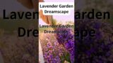 Lavender Garden Dreamscape #short #serpent #quotes