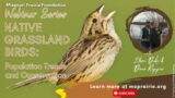 MPF Webinar: Native Grassland Birds: Population Trends & Conservation with Ethan Duke & Dana Ripper