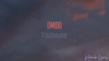 Omido – Troublemaker [4k Lyrics]