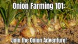Onion Farming 101: A Humorous Guide to Growing Onions from Seed