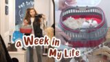 Penny Goes to the Vet | A Week in My Life