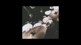 Phil Collins – Against all odds drum cover @mariochiodi.drumstudio