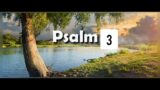 Psalm 3/Holy Bible In Urdu Language