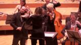 Ralph Vaughan Williams – Fantasia on a Theme by Thomas Tallis / Chamber Orchestra Profundis