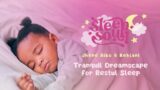 R&B Baby Sleep Music: Sleep Soul (Vol. 4) – Tranquil Dreamscape for Restful Sleep