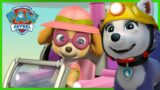 Rescue Knights save Barkingburg and the Princess’ Painting! | PAW Patrol | Cartoons for Kids