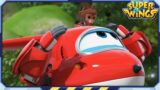 [SUPERWINGS Top5] Troublemaker but Lovely Animals | Superwings | Top Picks EP86 | Super Wings