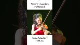 Schubert's Fantasia: Passionate Violin Pizzicato