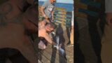 Seagull Got Itself Hooked At The Pier! Florida Man To The Rescue!