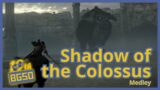 Shadow of the Colossus Medley – BGSO 10th Anniversary