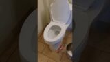 Skibidi toilet lookalike episode 14. The dirty one #skibiditoilet #games #fun