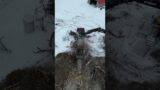 Slow Speed Grinder