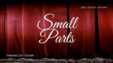 Small Parts by Juliet Ace | BBC RADIO DRAMA