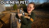 Someone ABANDONED This Animal on Our Land… Meet Our NEW PET!!