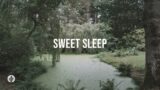 Sweet Sleep | Audio Reading | Our Daily Bread Devotional | February 26, 2024