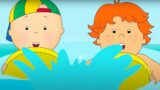 Swimming in the Sea | Caillou Cartoon