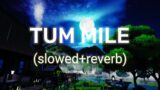 TUM MILE – SLOWED+REVERB | EMRAAN HASHMI | LOFI SONG | CHILLWAVE VIBES
