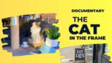 The Cat in the Frame – Documentary