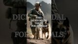 The Dickin Medal: Animal Victoria Cross #animals #history
