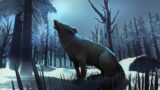 The Long Dark #19. Got Bitten By A Wolf. Blood Loss