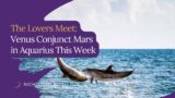 The Lovers Meet: Venus Conjunct Mars in Aquarius This Week
