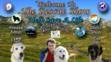 The Rescue Show 2-11-2024