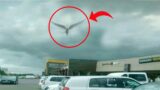 These Strange Creatures Were Actually Seen In The Sky