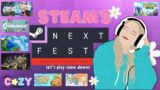 Twitch VOD 02.06.2024 – MORE cozy game demos for Steam's NextFest!