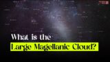 What is the Large Magellanic Cloud?